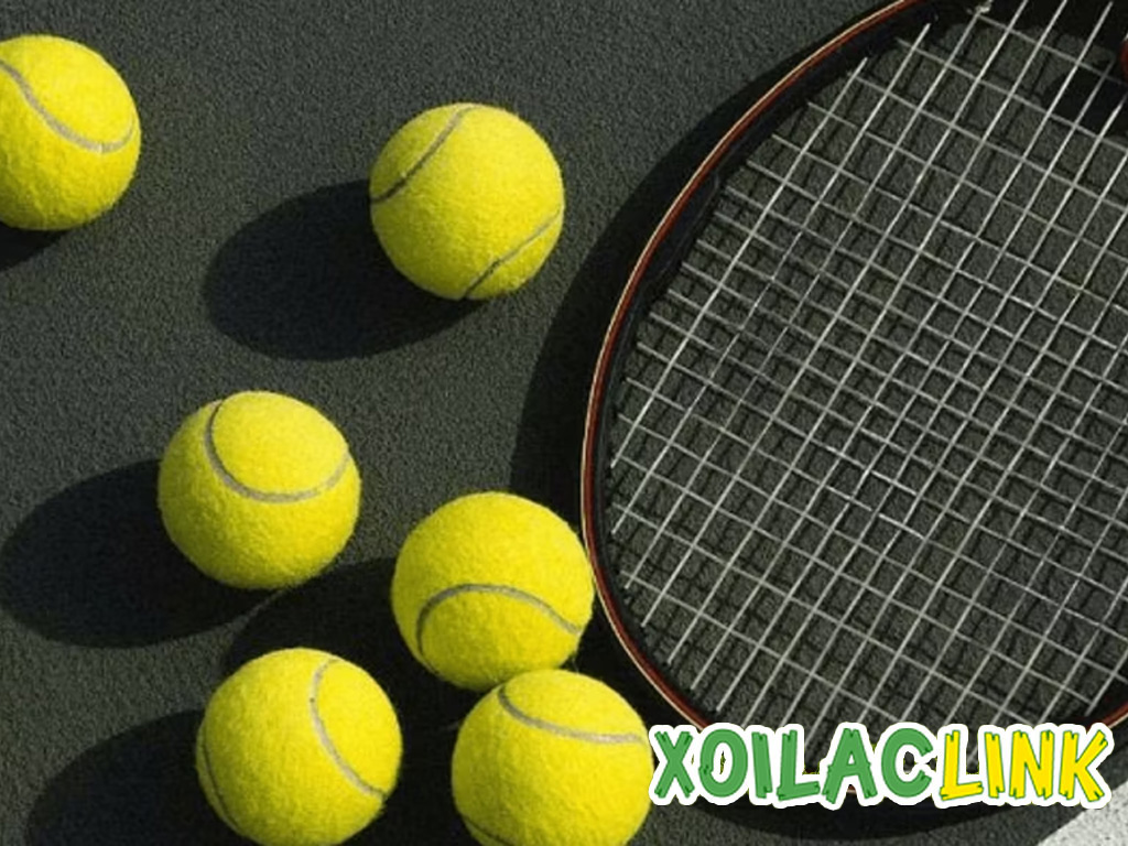 Top 10 tay vợt tennis thế giới – Những ngôi sao hàng đầu 