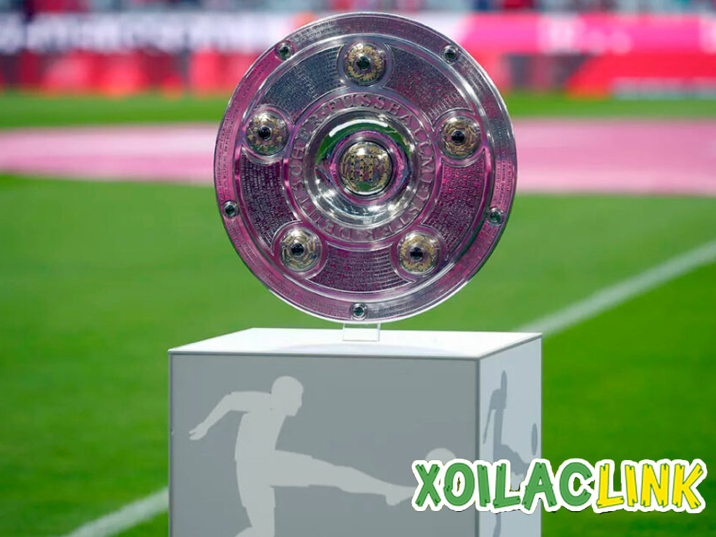 cup-vo-dich-bundesliga
